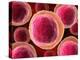 Lymphocyte White Blood Cells, Artwork-David Mack-Premier Image Canvas