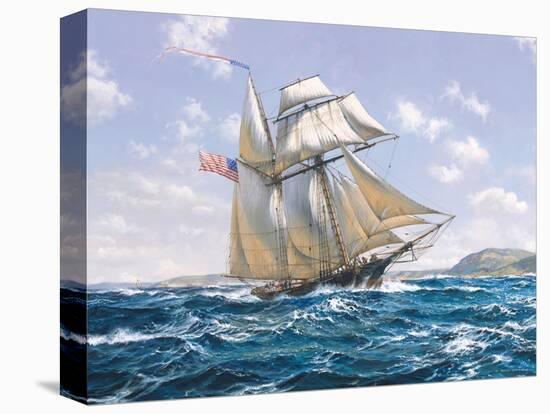Lynx U.S. Privateer-Roy Cross-Stretched Canvas