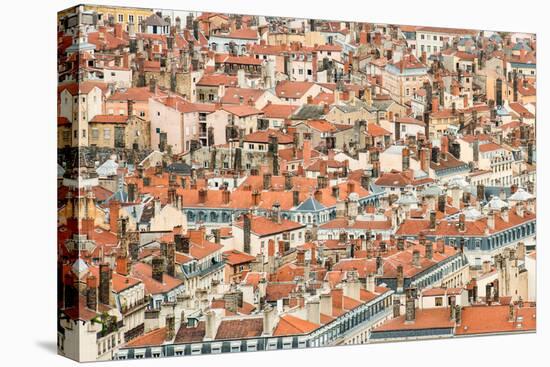 Lyon Rooftops II-Erin Berzel-Premier Image Canvas