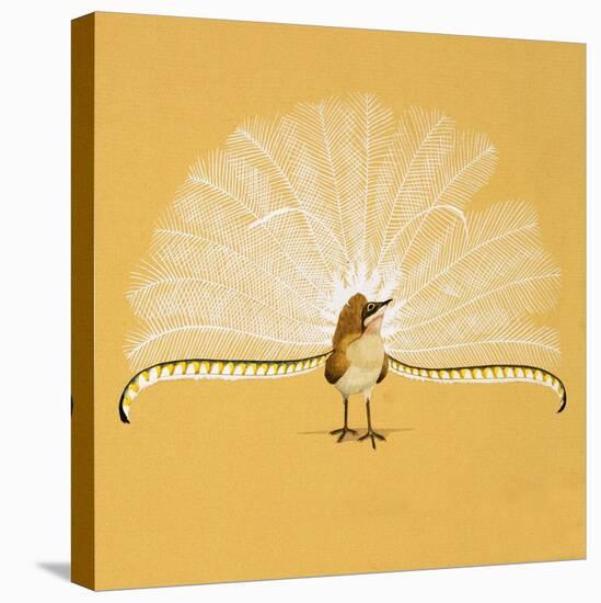 Lyre Bird-null-Premier Image Canvas