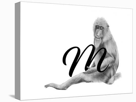 M is for Mandrill-Stacy Hsu-Stretched Canvas