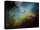 M16 the Eagle Nebula-Stocktrek Images-Premier Image Canvas