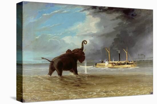 'Ma Robert' and Elephants in the Shallows of the Shire River, 1858-Thomas Baines-Premier Image Canvas