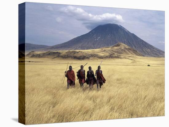 Maasai Warriors Stride across Golden Grass Plains at Foot of Ol Doinyo Lengai, 'Mountain of God'-Nigel Pavitt-Premier Image Canvas