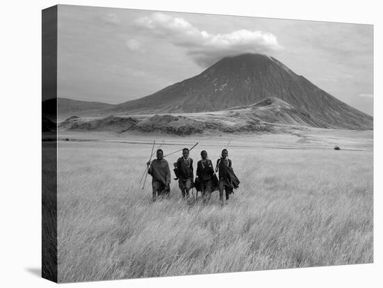 Maasai Warriors Stride across Golden Grass Plains at Foot of Ol Doinyo Lengai, 'Mountain of God'-Nigel Pavitt-Premier Image Canvas