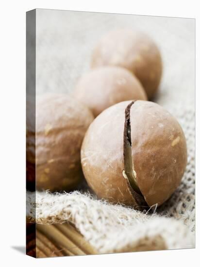 Macadamia Nuts-Frank Tschakert-Premier Image Canvas