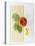 Macaroni, Farfalle, Tomato and Basil-null-Premier Image Canvas