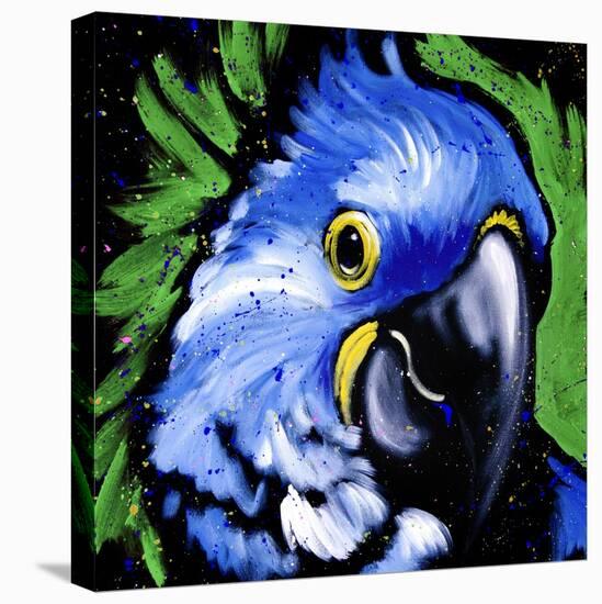 Macaw-null-Stretched Canvas