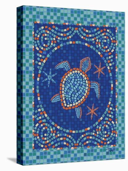 Macedonia Reef Turtle-Teresa Woo-Stretched Canvas