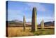 Machrie Moor stone circles, Isle of Arran, North Ayrshire, Scotland, United Kingdom, Europe-Gary Cook-Premier Image Canvas