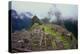 Machu Picchu Peru-null-Stretched Canvas