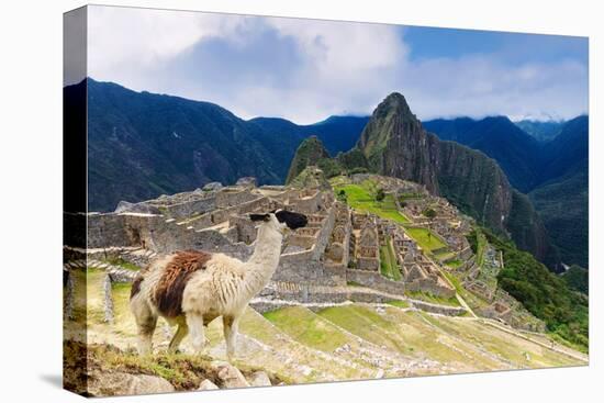 Machu Picchu,  with llama in front of the ruined city of the Incas with Mount Huayana Picchu-G&M Therin-Weise-Premier Image Canvas