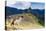 Machu Picchu,  with llama in front of the ruined city of the Incas with Mount Huayana Picchu-G&M Therin-Weise-Premier Image Canvas