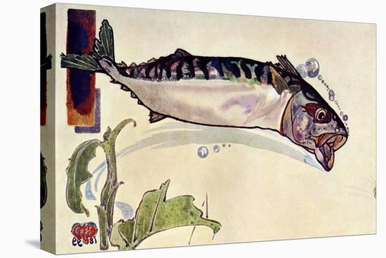 Mackerel, 1900-Edward Detmold-Premier Image Canvas