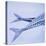 Mackerel Fish Tails-Cristina-Premier Image Canvas