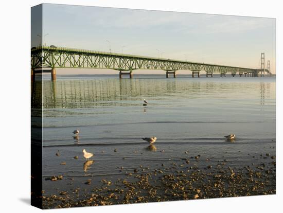 Mackinac Bridge, Mackinaw City, Michigan, USA-Peter Hawkins-Premier Image Canvas