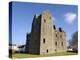 Maclellan's Castle, Kirkcudbright, Dumfries and Galloway, Scotland, United Kingdom, Europe-Gary Cook-Premier Image Canvas