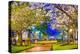 Macon, Georgia, USA Downtown with Spring Cherry Blossoms at 3Rd Street Park.-SeanPavonePhoto-Premier Image Canvas