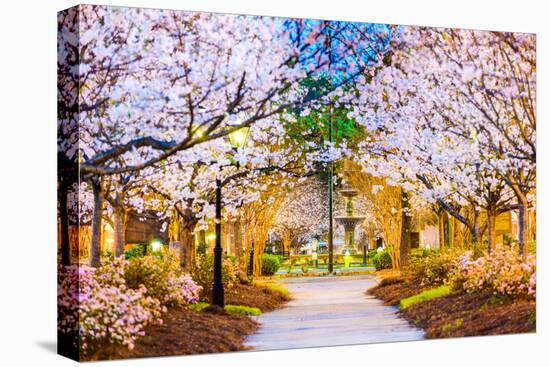 Macon, Georgia, USA in the Spring.-SeanPavonePhoto-Premier Image Canvas