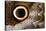 Macrophotograph of Owl Butterfly Wing-Dr. Keith Wheeler-Premier Image Canvas