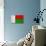 Madagascar Flag Design with Wood Patterning - Flags of the World Series-Philippe Hugonnard-Stretched Canvas displayed on a wall