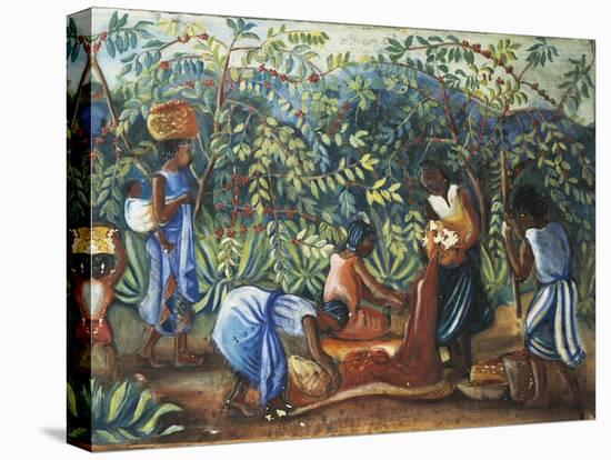 Madagascar, Harvesting Coffee Beans, 20th Century-null-Premier Image Canvas