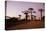 Madagascar, Morondava, Baobab Alley, Adansonia Grandidieri at Sunset-Anthony Asael-Premier Image Canvas