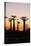 Madagascar, Morondava, Baobab Alley, Adansonia Grandidieri at Sunset-Anthony Asael-Premier Image Canvas