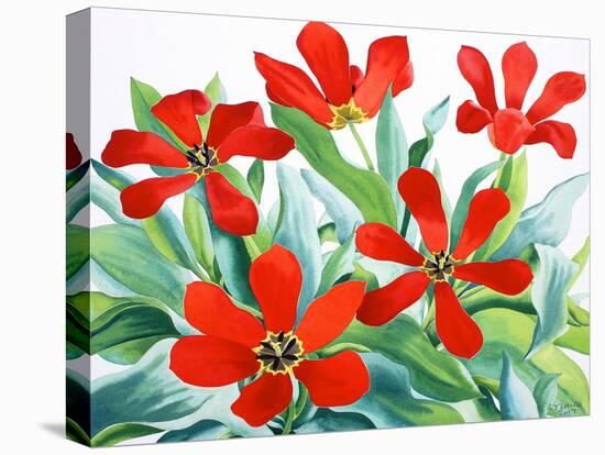 Madame Lefeber Tulips 2-Christopher Ryland-Premier Image Canvas