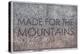 Made for the Mountains - 1894, Colorado State Map in Relief, Colorado, United States Map-null-Premier Image Canvas