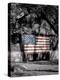 Made in the USA-Richard Roffman-Stretched Canvas