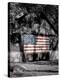 Made in the USA-Richard Roffman-Stretched Canvas