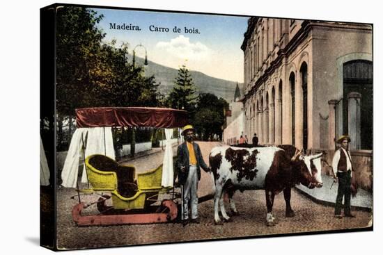 Madeira Portugal, Carro De Bois, Ochsenkarren Auf Schlitten-null-Premier Image Canvas