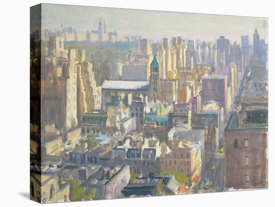 Madison Avenue, 1997-Julian Barrow-Premier Image Canvas