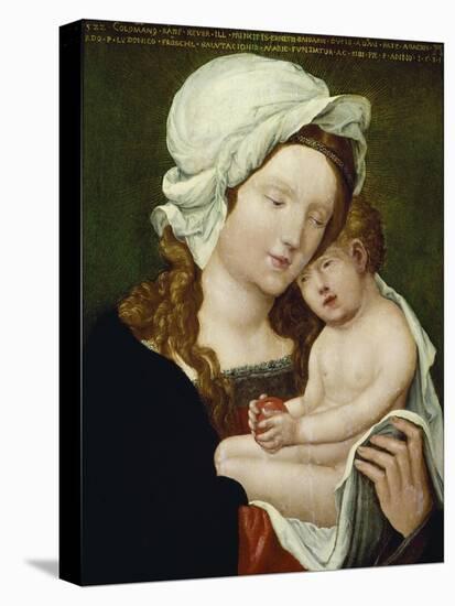 Madonna and Child, 1531-Albrecht Altdorfer-Premier Image Canvas