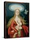 Madonna and Child, 1539 (Oil on Panel)-Hans Baldung Grien-Premier Image Canvas