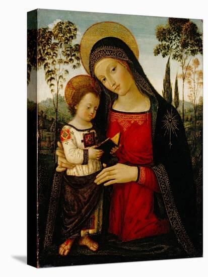 Madonna and Child, c.1490-1495-Bernardino di Betto Pinturicchio-Premier Image Canvas