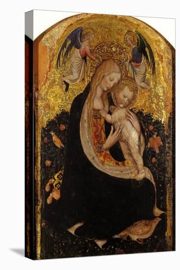 Madonna and Child Crowned by Two Angels (Madonna of the Quail)-Antonio Pisani Pisanello-Premier Image Canvas