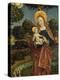 Madonna and Child in a Landscape, 1470 (Tempera on Panel)-German School-Premier Image Canvas