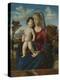 Madonna and Child in a Landscape, c.1496-99-Giovanni Battista Cima Da Conegliano-Premier Image Canvas