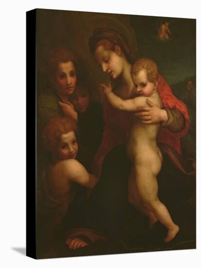 Madonna and Child, St. John and Two Angels-Andrea del Sarto-Premier Image Canvas