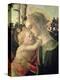 Madonna and Child with St. John the Baptist, Detail of the Madonna and Child-Sandro Botticelli-Premier Image Canvas