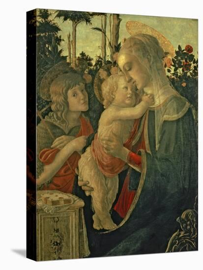 Madonna and Child with St. John the Baptist-Sandro Botticelli-Premier Image Canvas