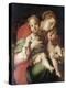 Madonna and Child with the Young St. John-Pontormo-Premier Image Canvas