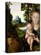 Madonna and Child-Lucas Cranach the Elder-Premier Image Canvas