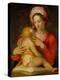 Madonna and Child-Andrea del Sarto-Premier Image Canvas