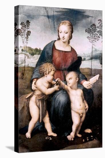 Madonna Del Cardellino, 1507-Raphael-Premier Image Canvas