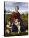 Madonna in the Meadow-Raphael-Premier Image Canvas