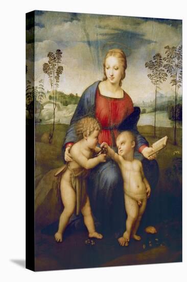 Madonna of the Goldfinch, about 1506-Raphael-Premier Image Canvas