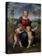 Madonna of the Goldfinch, c.1505-06-Raphael-Premier Image Canvas